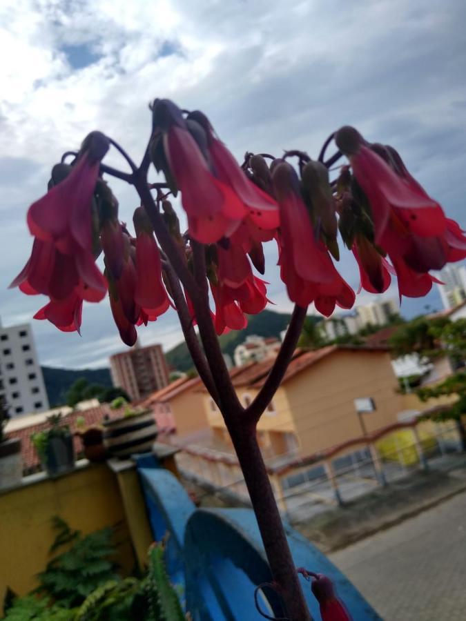 Apartamento Com Piscina Na Martim De Sa Caraguatatuba Exterior foto